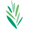 www.reconstructingjudaism.org