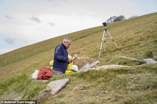In 2019, the giant was refreshed for the first time in 11 years, with a team of volunteers hammering in 17 tonnes of new chalk by hand to counteract weathering and keep the giant visible for miles around