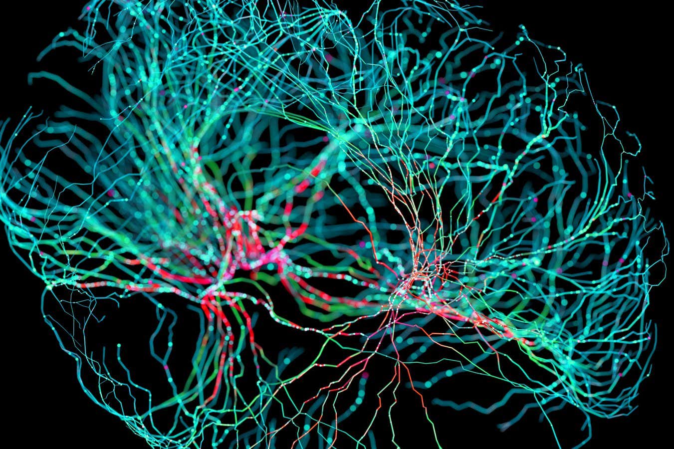 www.newscientist.com