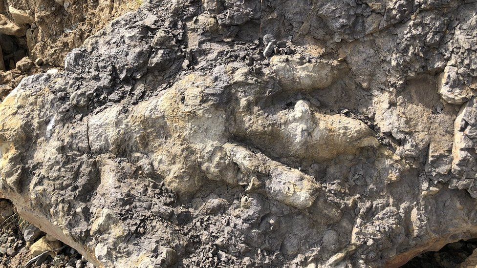 Footprint