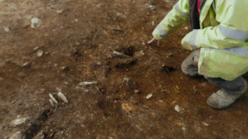 One of the stone holes found at Waun Mawn