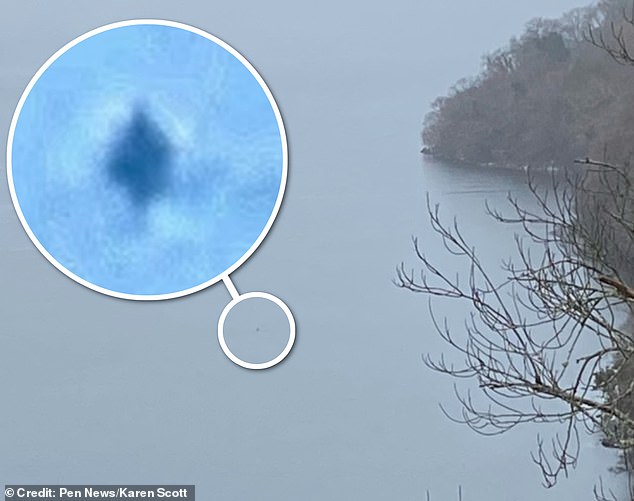 A new photo of a mysterious creature 'the size of a very large seal' in Loch Ness has been declared a fresh Nessie sighting