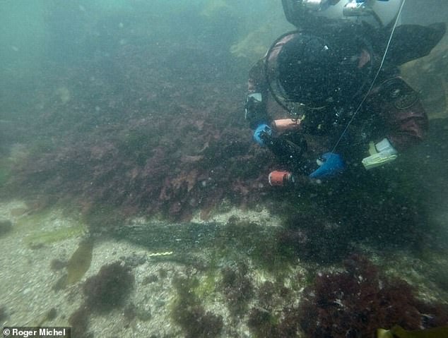 Mr Michel said last week: 'This is an incredibly exciting discovery. Apparently no one has employed modern digital technology to search for wreck of the White Ship previously, so the site has remained relatively undisturbed'. Pictured: The divers scour the wreck site