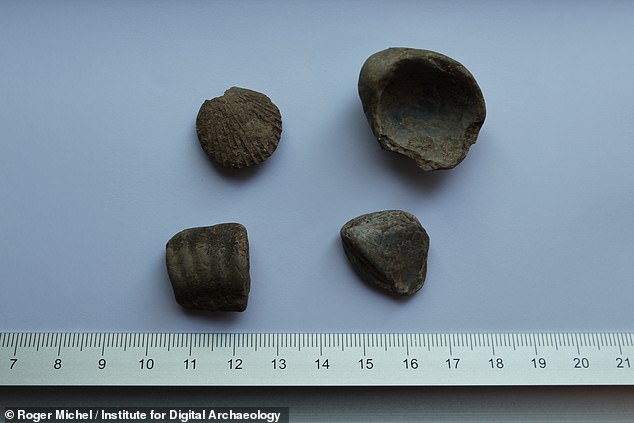 Pieces of worked sea shell found at Althorp, in Northamptonshire, were originally thought to date back to the Middle Ages but carbon dating has revealed that they are in fact more than 40,000 years old Pieces of worked sea shell found at Althorp, in Northamptonshire, were originally thought to date back to the Middle Ages but carbon dating has revealed that they are in fact more than 40,000 years old