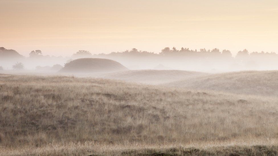Royal burial mounds at Sutton Hoo Royal burial mounds at Sutton Hoo