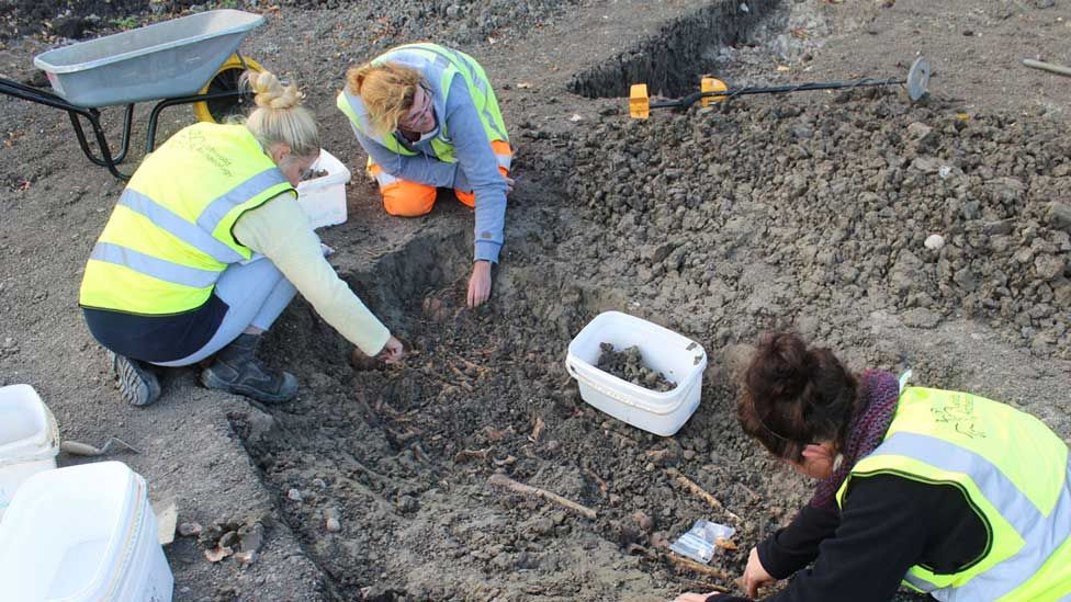 Archaeologists uncovering skeletons, Cheddington