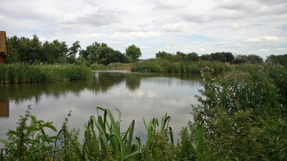A mere in marshy fenland A mere in marshy fenland