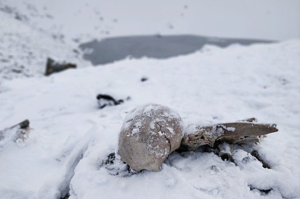 Naturally preserved ancient human skeletons under snow found beside high altitude alpine Roopkund lake in Indian Himalayas. Naturally preserved ancient human skeletons under snow found beside high altitude alpine Roopkund lake in Indian Himalayas.