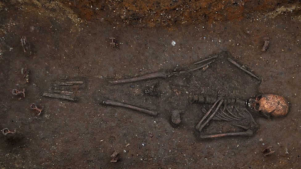 Skeleton of 7th Century Anglo-Saxon woman, Trumpington Skeleton of 7th Century Anglo-Saxon woman, Trumpington
