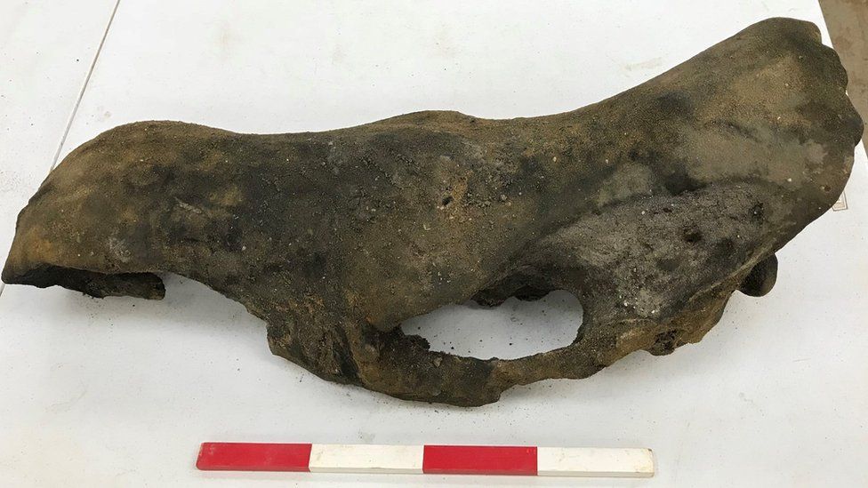 Mammoth bone