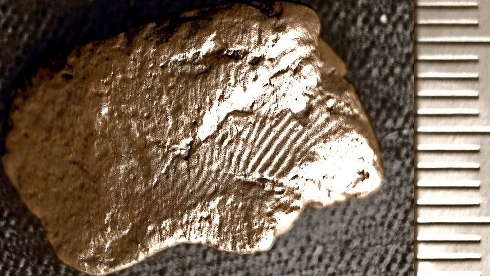 Fingerprint on piece of pottery