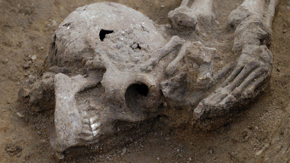 Skull at skeleton fee, Knobb's Farm, Somersham