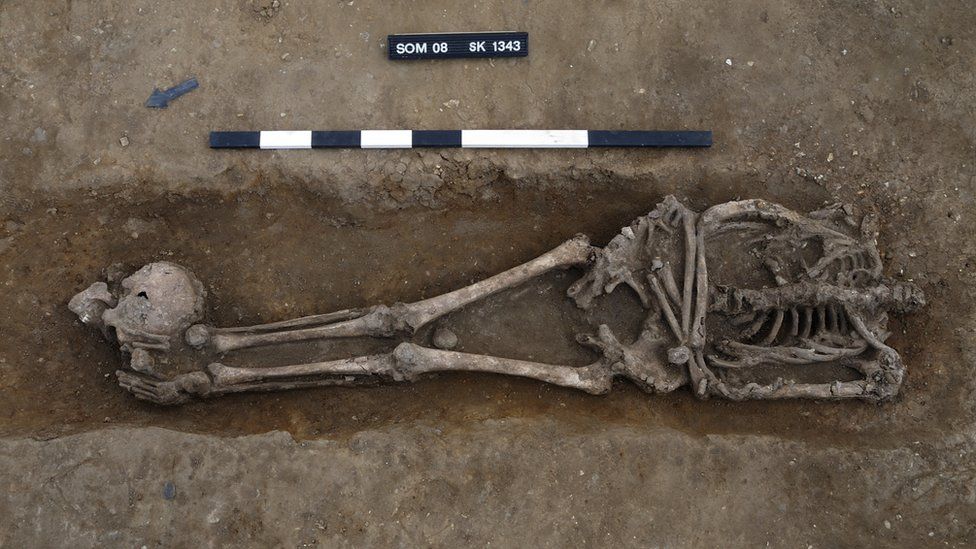 Skeleton with skull at head, Knobb's Farm, Somersham