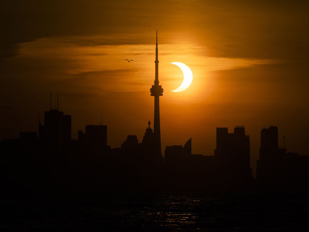 torontosun.com