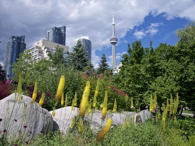 torontosun.com